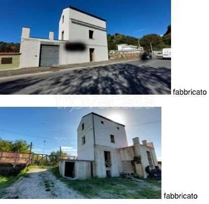 immagine annuncio 2 di 7
