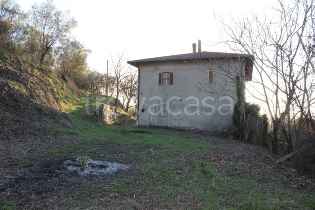 immagine annuncio 3 di 8