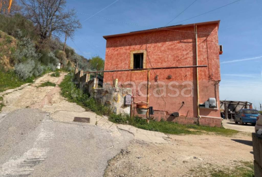 immagine annuncio 2 di 14