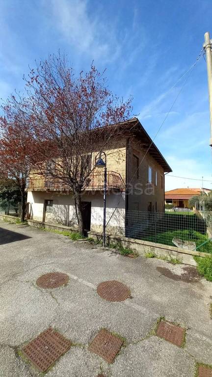 immagine annuncio 5 di 8