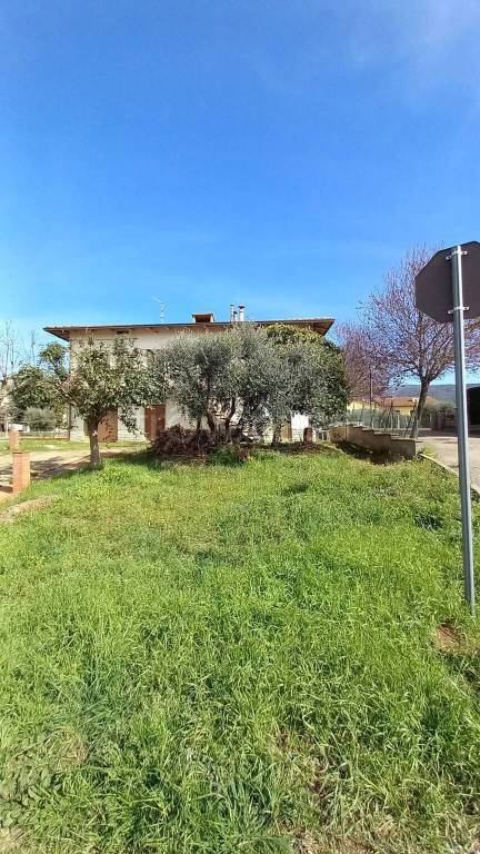 immagine annuncio 6 di 8