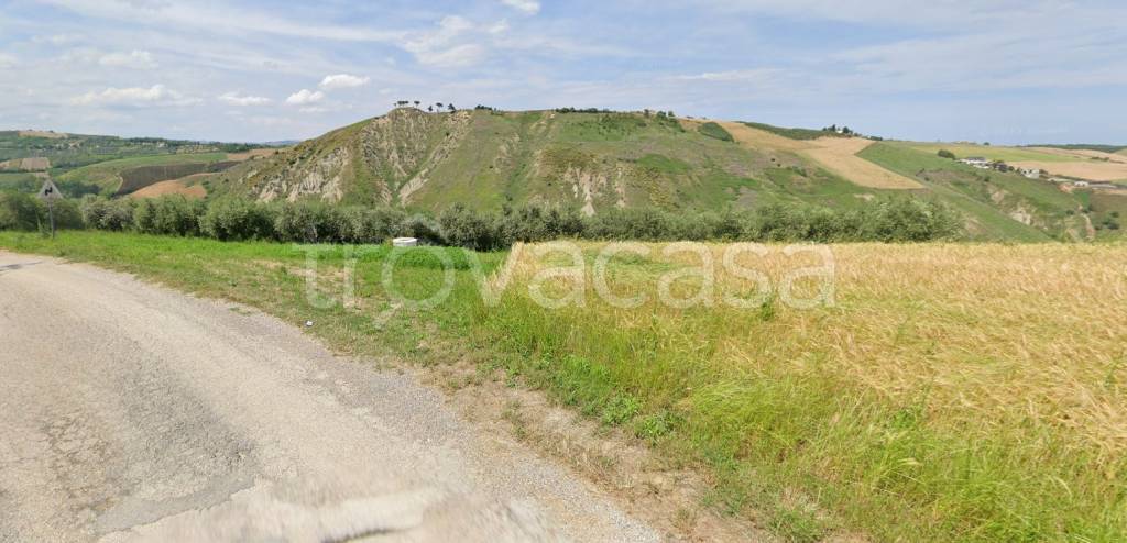 immagine annuncio 5 di 11