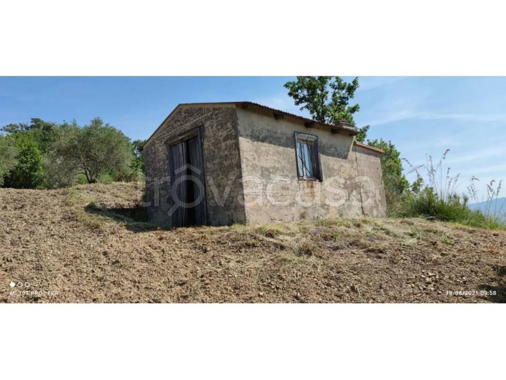 immagine annuncio 4 di 9