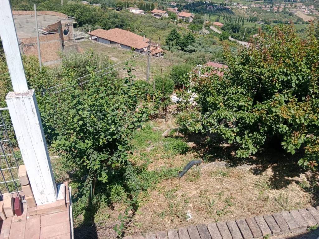 immagine annuncio 8 di 14