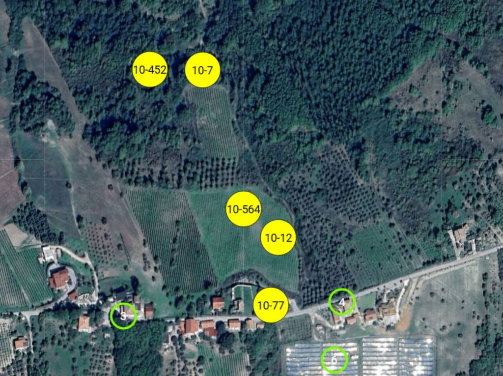 immagine annuncio 2 di 11