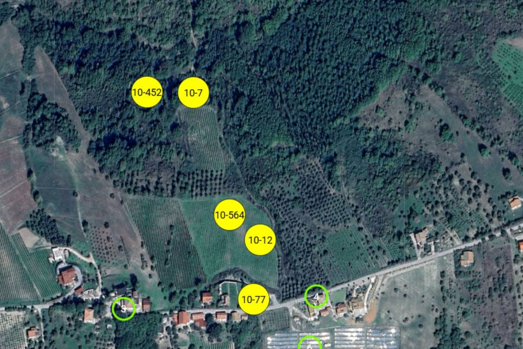 immagine annuncio 10 di 11