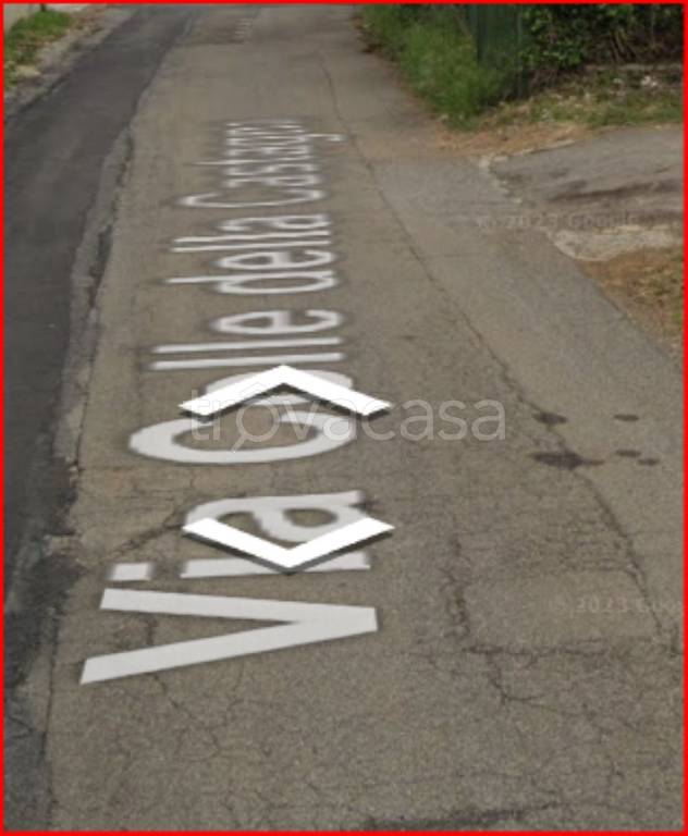 immagine annuncio 10 di 13