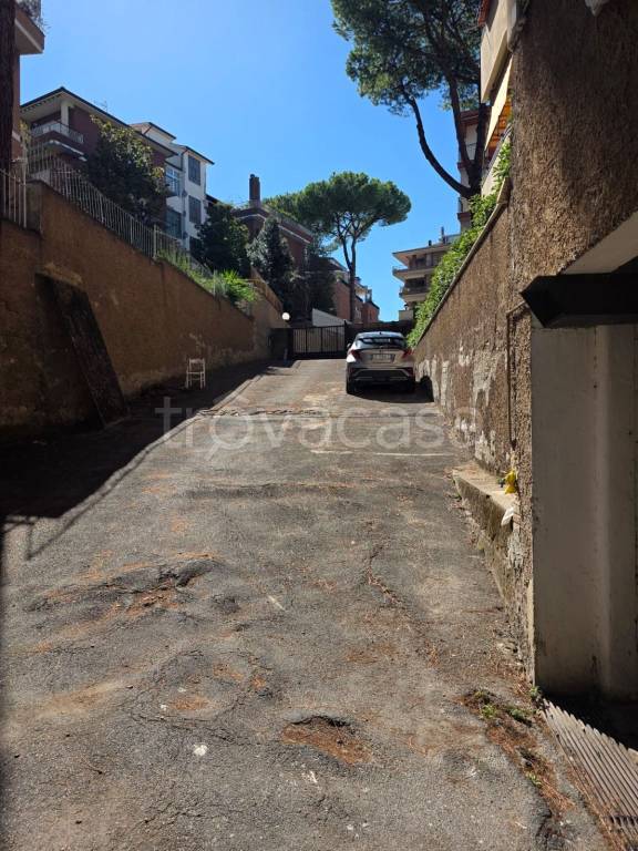 immagine annuncio 6 di 8