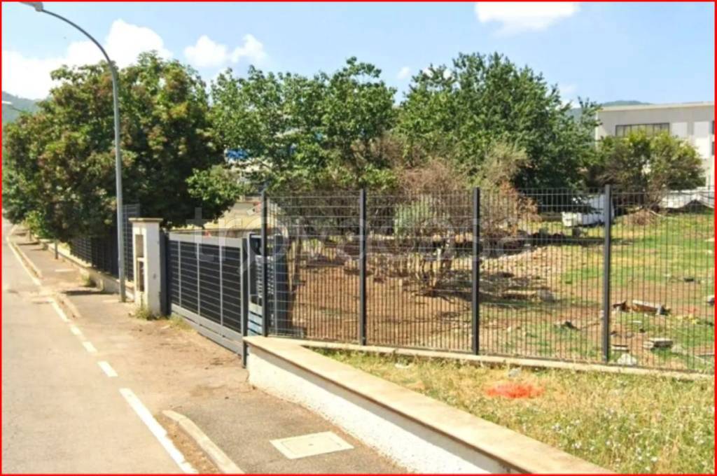 immagine annuncio 2 di 12