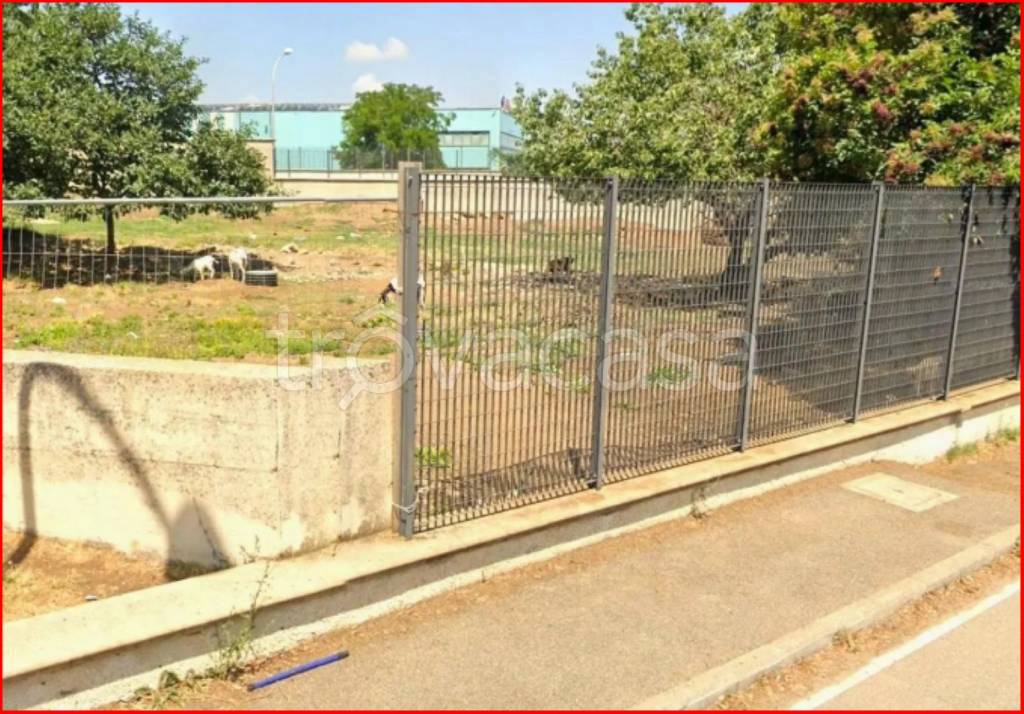 immagine annuncio 4 di 12