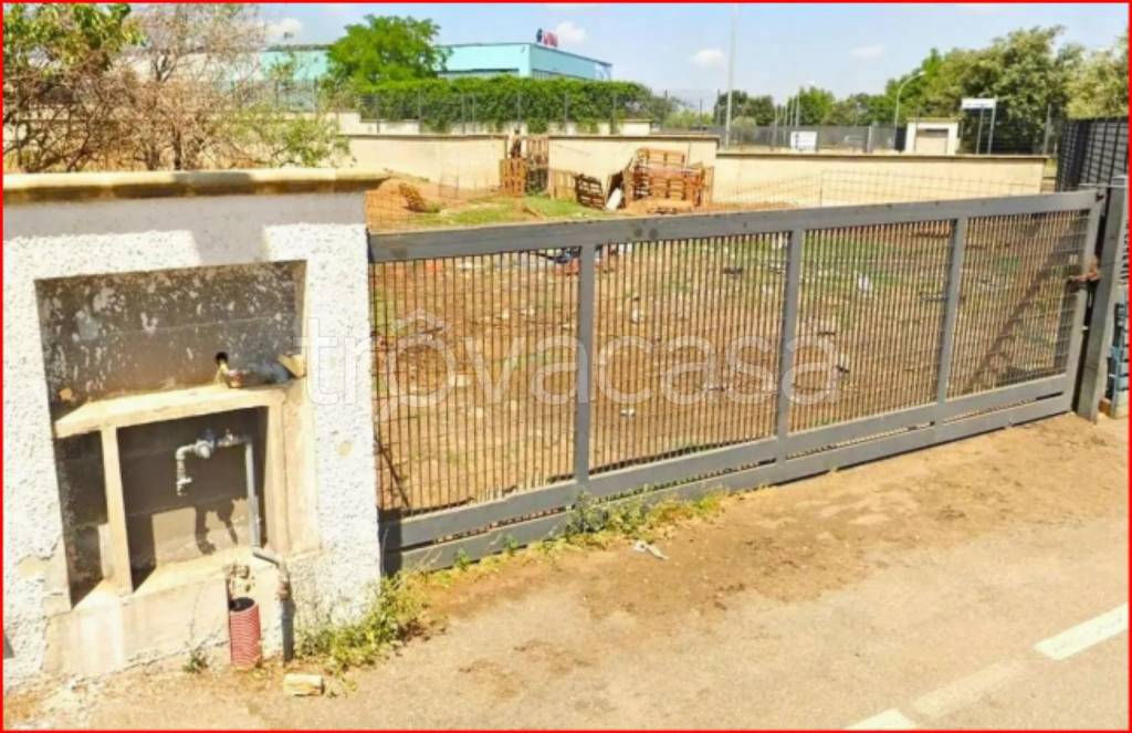 immagine annuncio 5 di 12