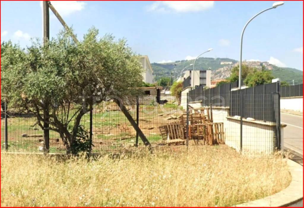 immagine annuncio 9 di 12