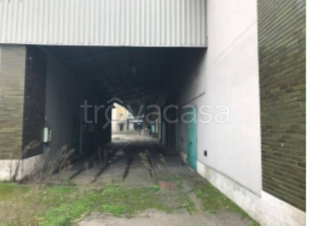 immagine annuncio 6 di 11
