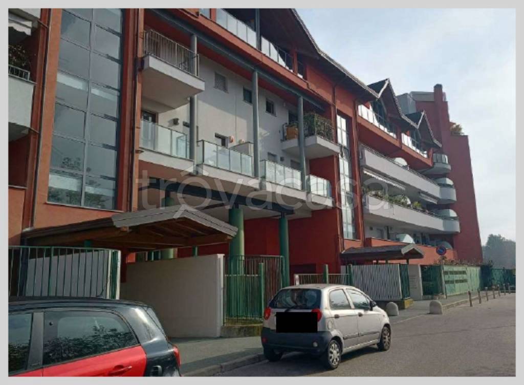 immagine annuncio 4 di 15