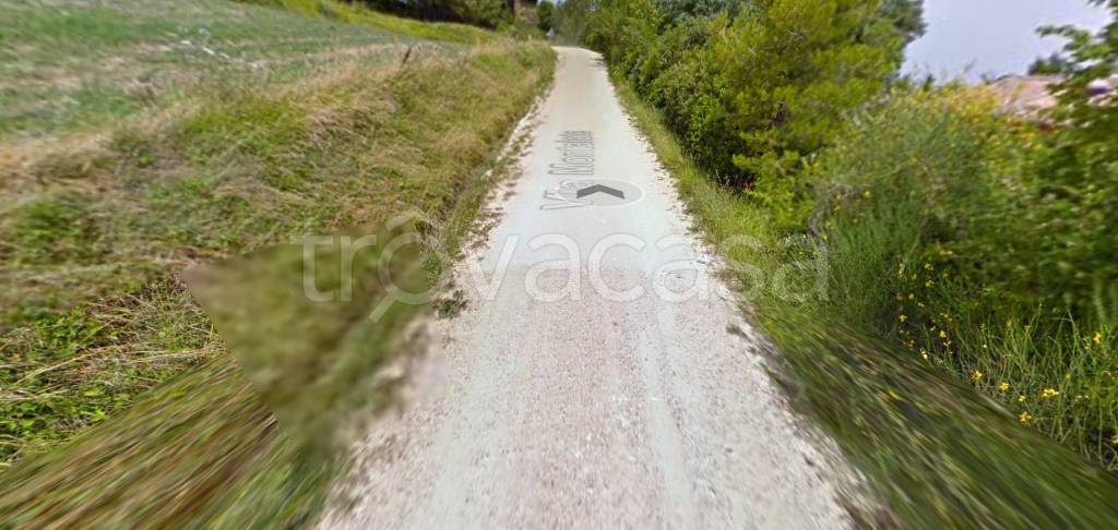 immagine annuncio 4 di 14