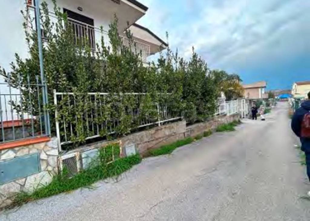 immagine annuncio 4 di 14