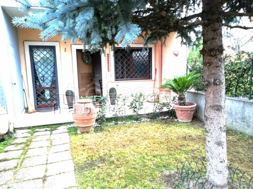 immagine annuncio 7 di 15