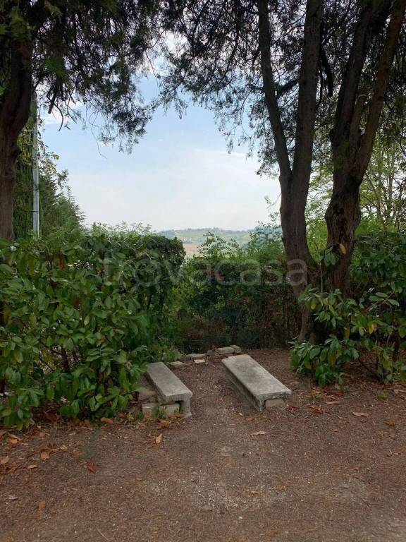 immagine annuncio 6 di 9