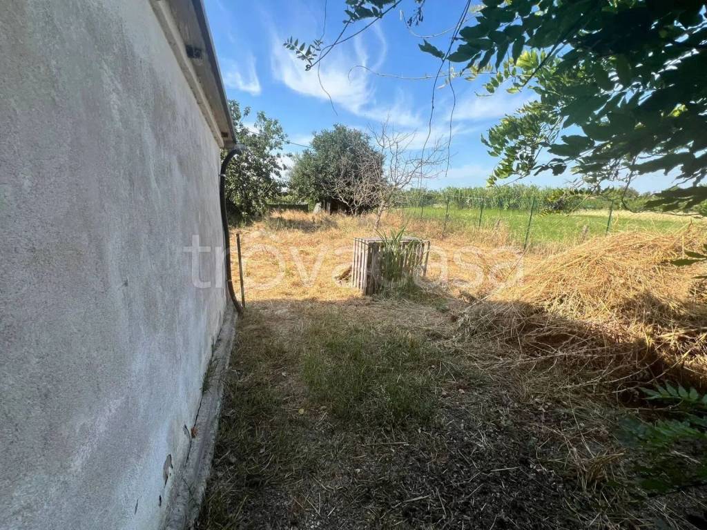 immagine annuncio 7 di 12