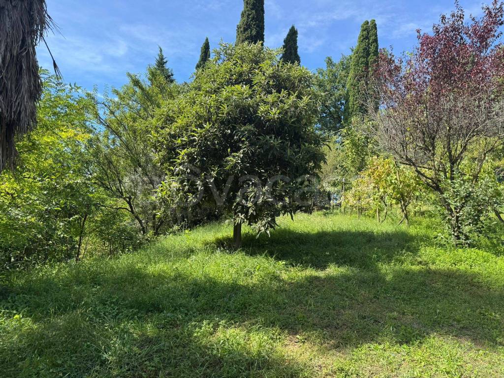 immagine annuncio 7 di 9