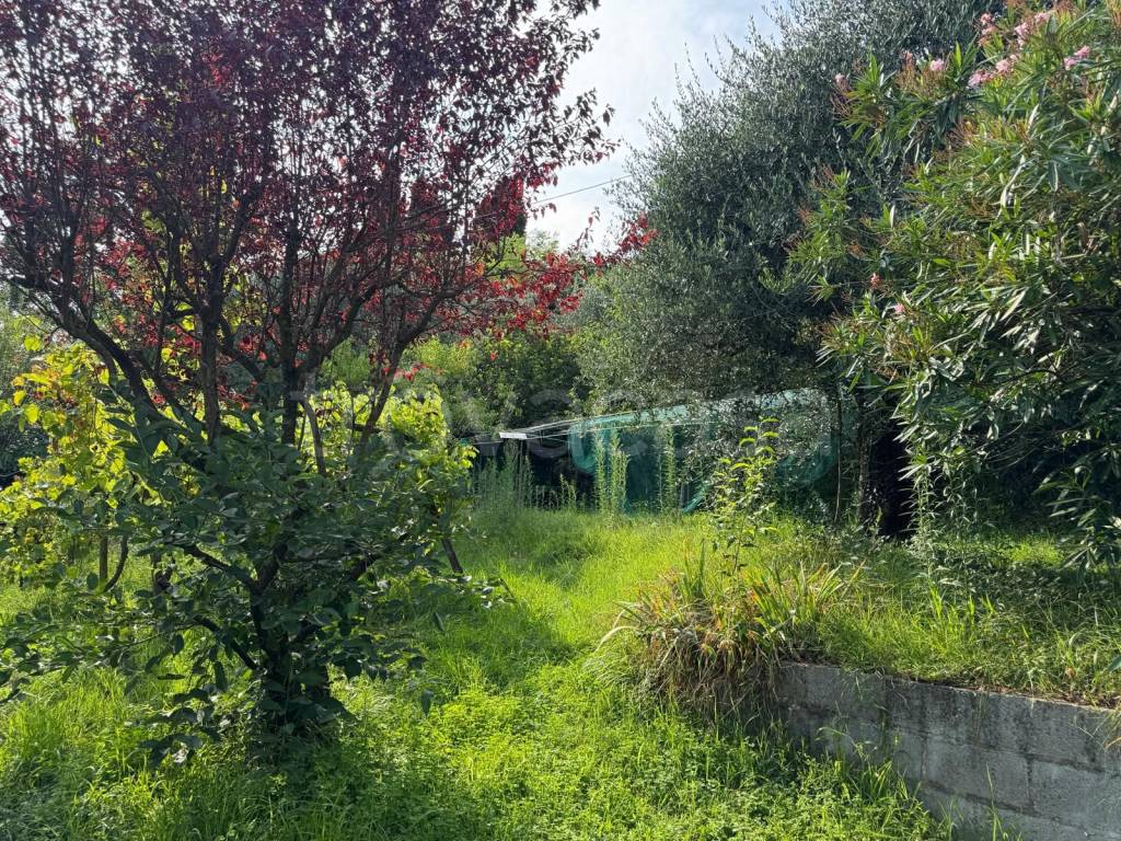 immagine annuncio 8 di 9