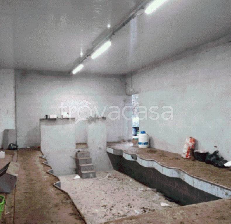 immagine annuncio 6 di 11