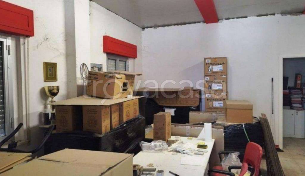 immagine annuncio 4 di 11