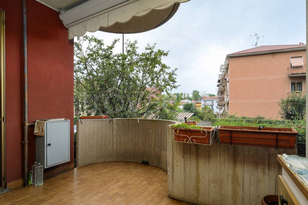 immagine annuncio 8 di 15