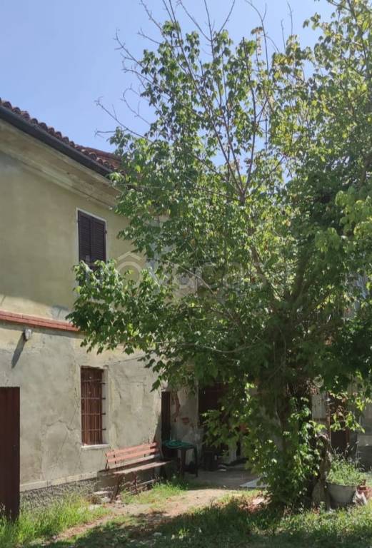immagine annuncio 1 di 4