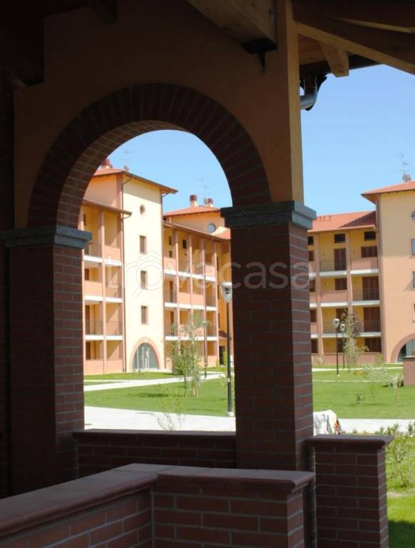 immagine annuncio 2 di 6