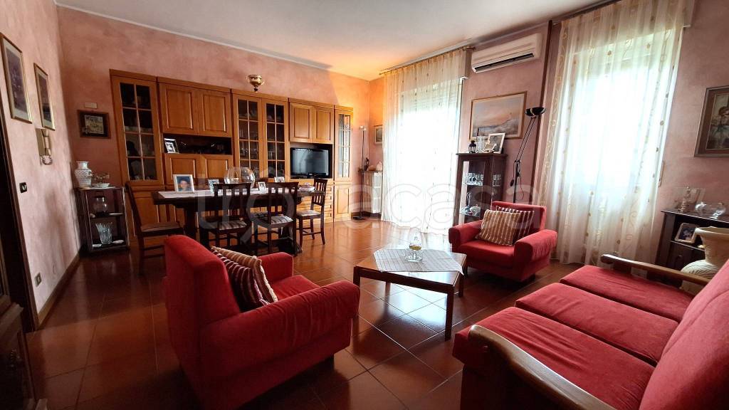 immagine annuncio 1 di 12