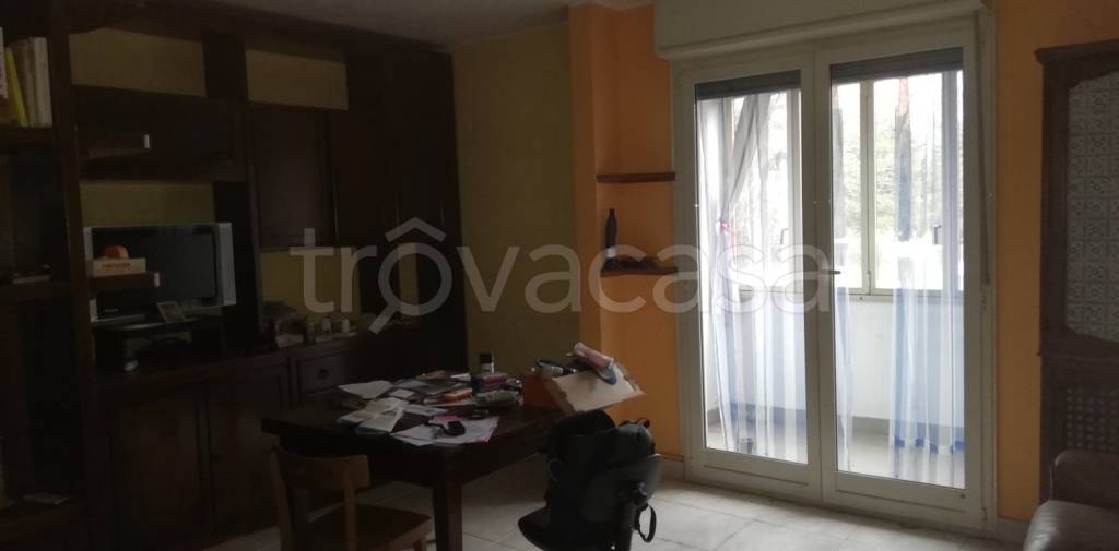 immagine annuncio 5 di 14