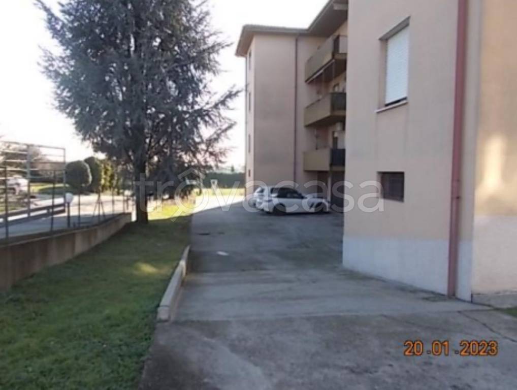 immagine annuncio 7 di 11