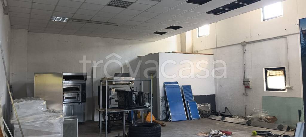 immagine annuncio 2 di 11