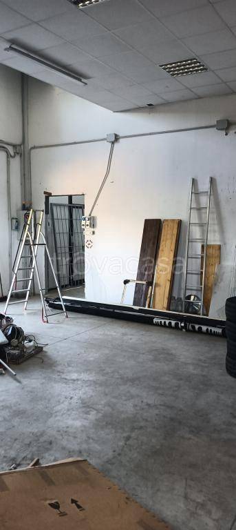 immagine annuncio 4 di 11