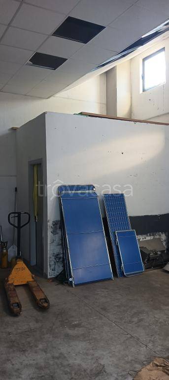 immagine annuncio 6 di 11