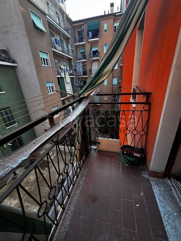 immagine annuncio 11 di 14