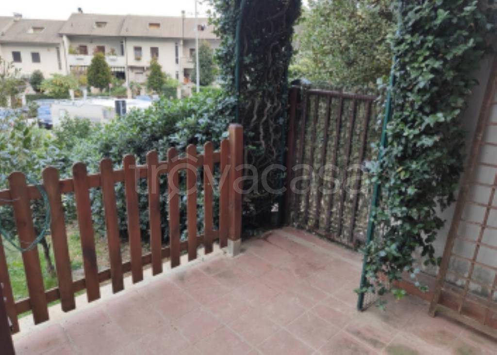 immagine annuncio 11 di 13