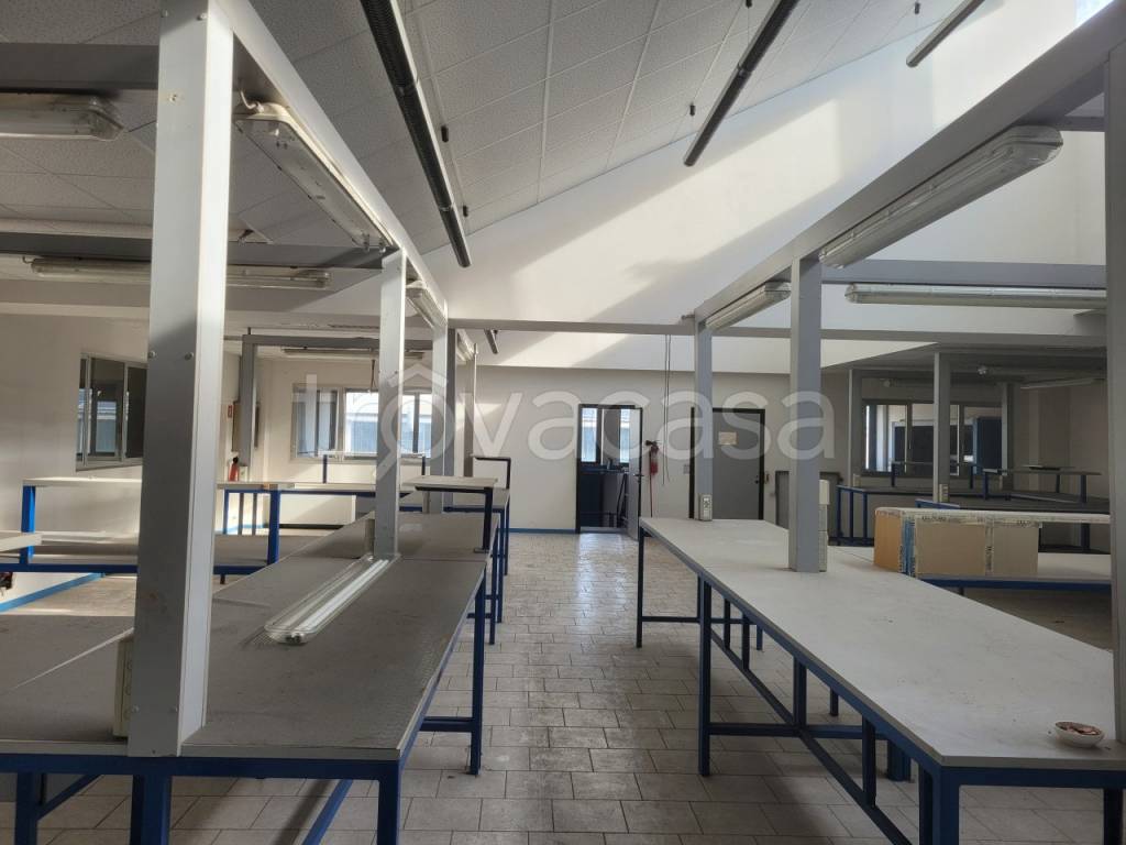 immagine annuncio 6 di 9