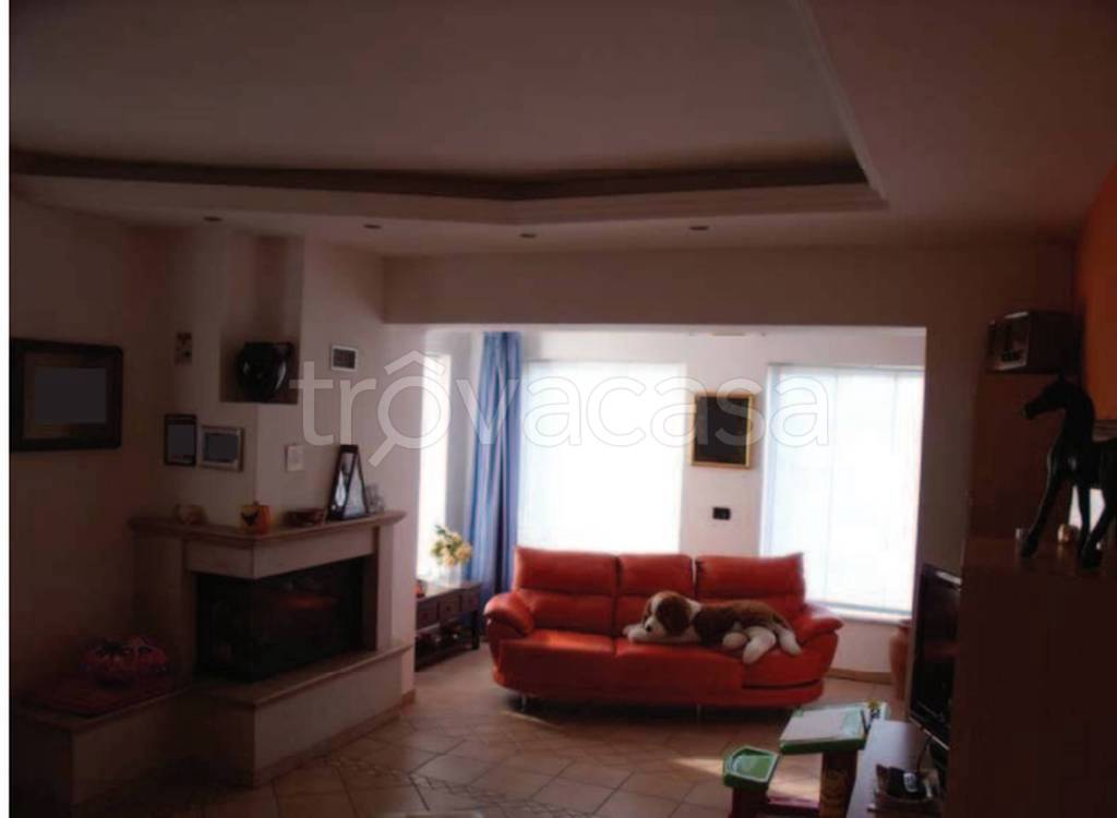 immagine annuncio 3 di 11