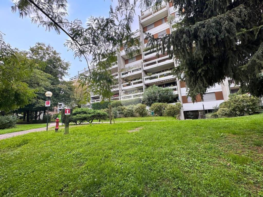 immagine annuncio 6 di 8