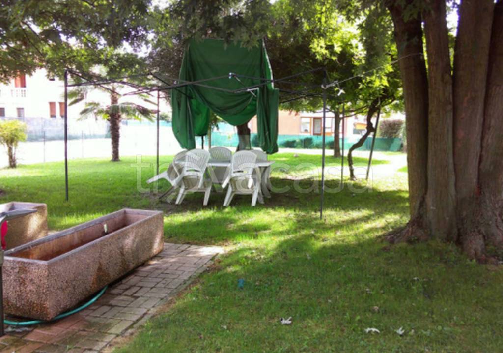immagine annuncio 1 di 12