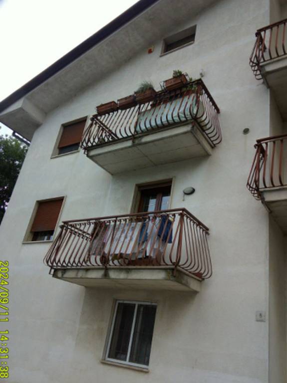 immagine annuncio 7 di 12