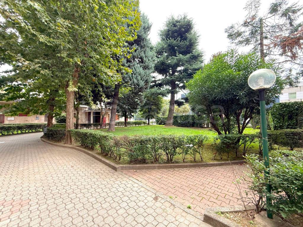 immagine annuncio 8 di 9