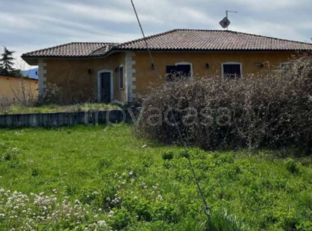 immagine annuncio 2 di 12