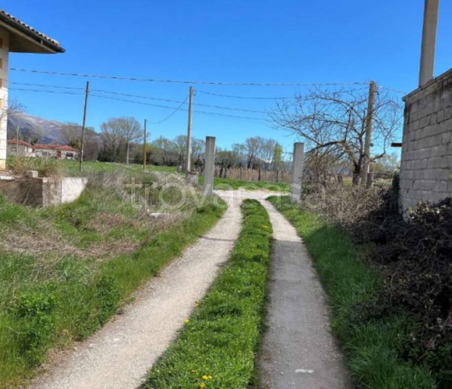 immagine annuncio 10 di 12