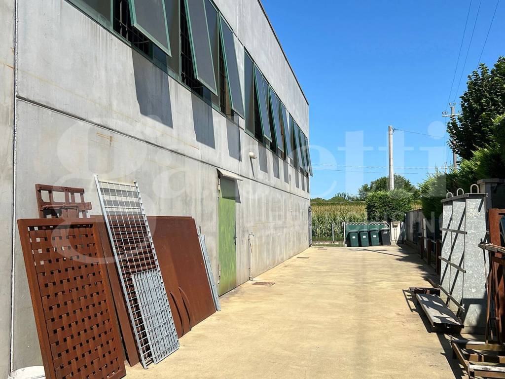 immagine annuncio 3 di 14