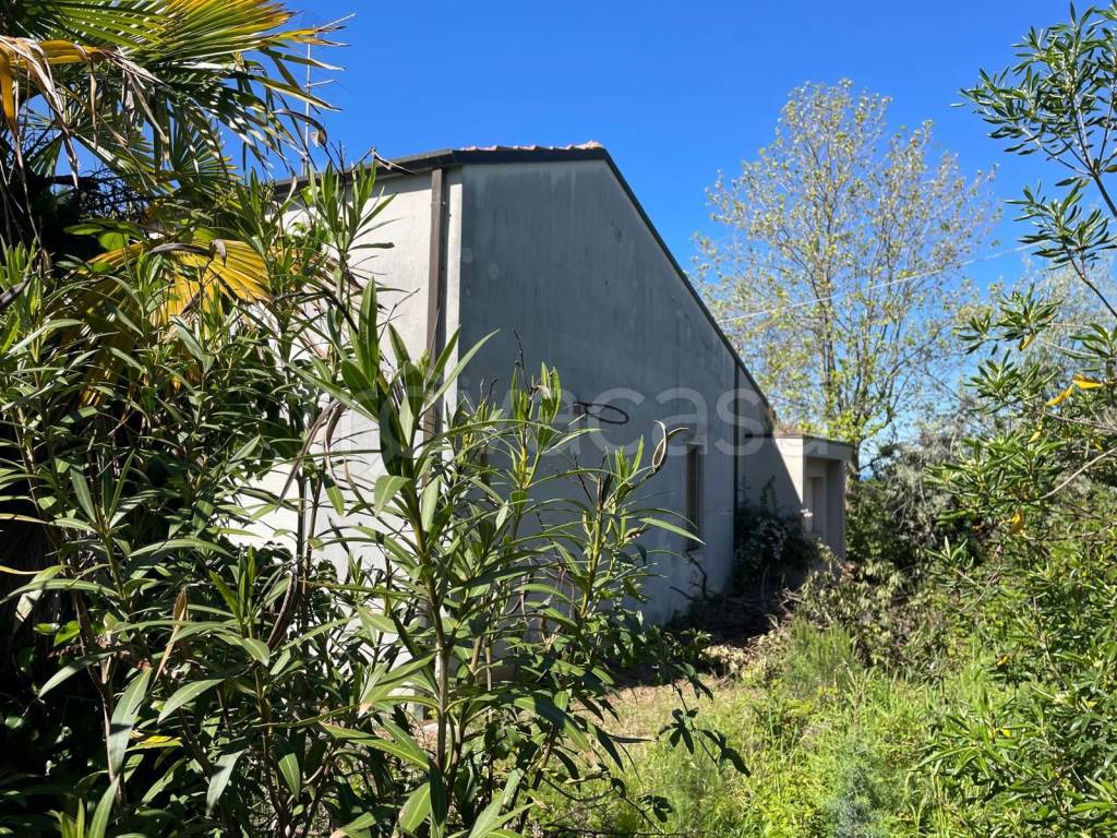 immagine annuncio 5 di 9