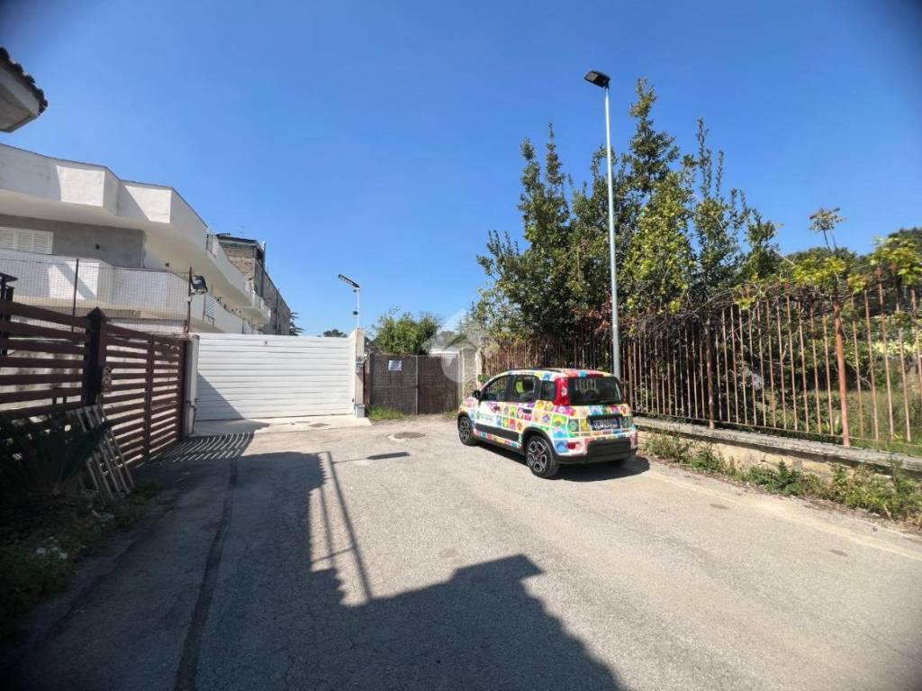 immagine annuncio 7 di 12