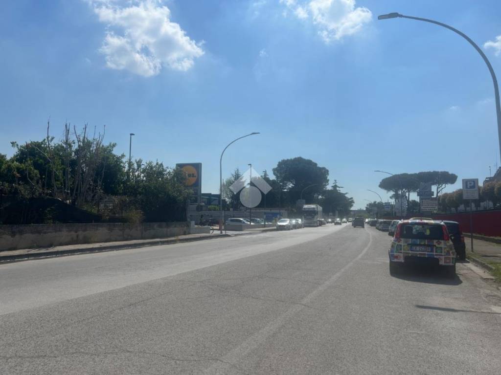 immagine annuncio 10 di 12